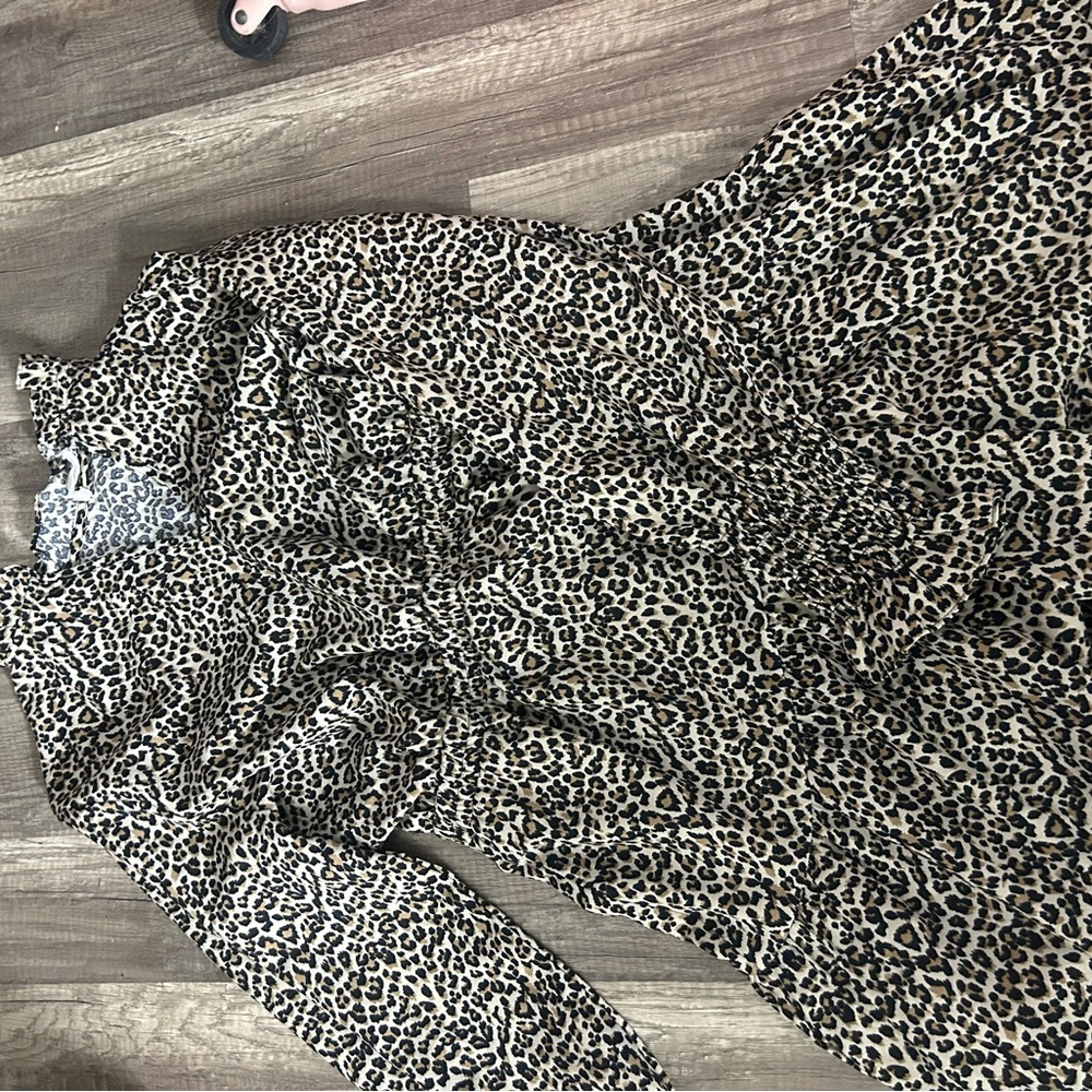 Leopard Print Long Sleeve Dress